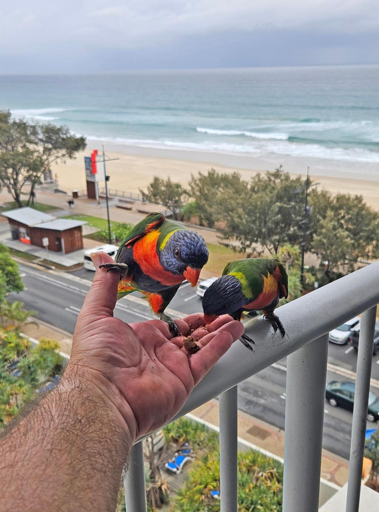 Beachfront Studio Gold Coast Esterno foto